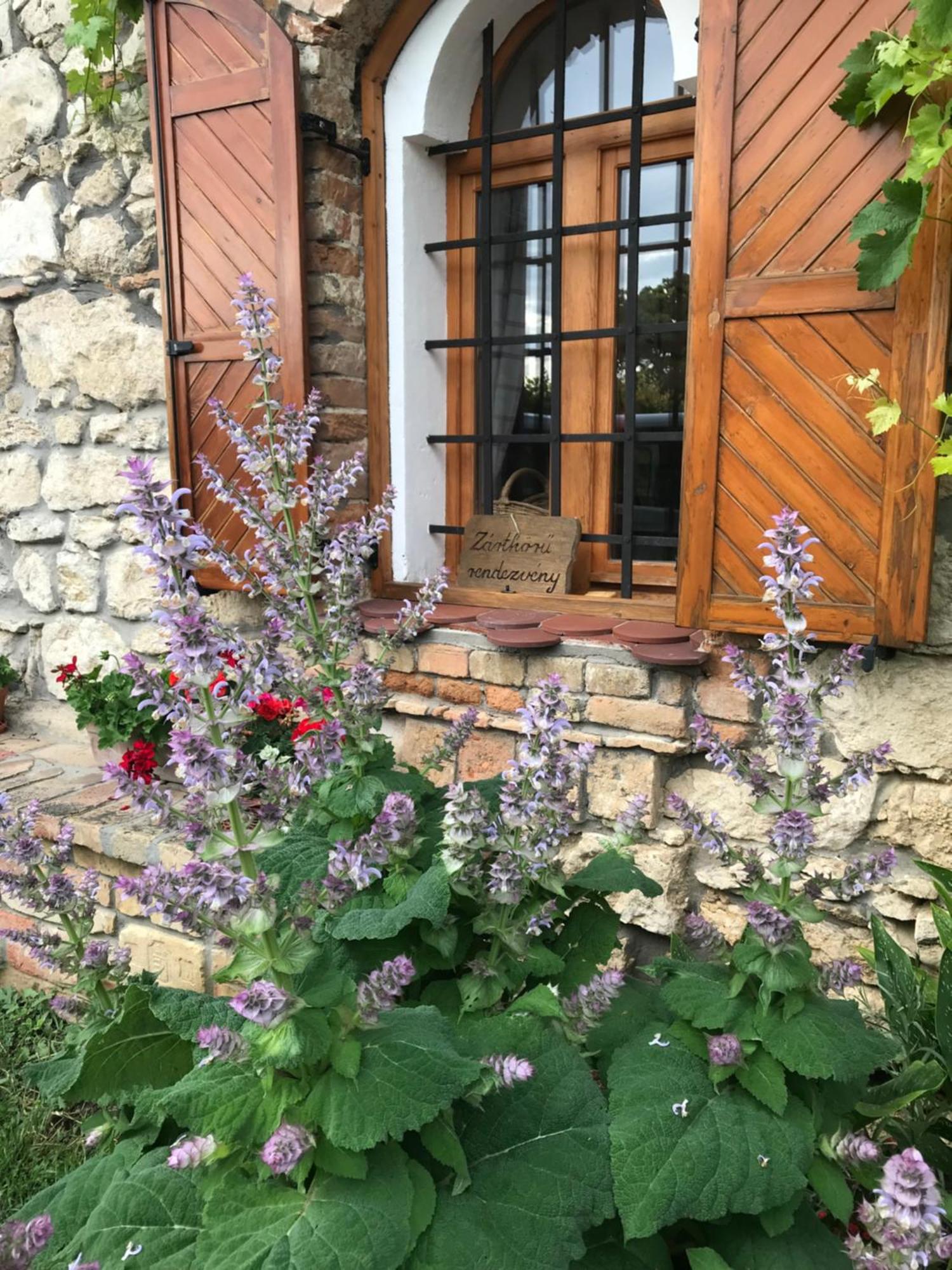Cifrapince Es Vendeghaz Villa Tordas Luaran gambar